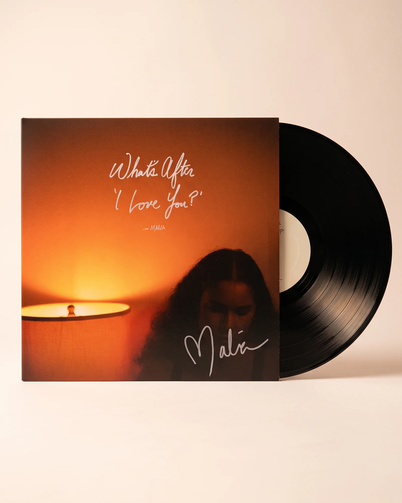 What's After 'I Love You?' black vinyl in a thin card sleeve